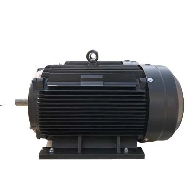 132kW उच्च दक्षता मोटर
