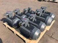 ब्लोअर के लिए फ्लेमप्रूफ मोटर्स